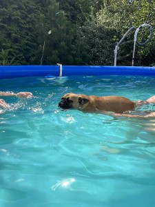 img_1597.jpeg